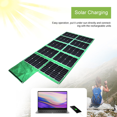 Ladegerät-Gremiums-SolarStromversorgung 300w Soems angetriebene